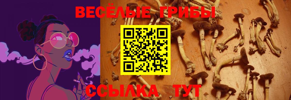 цены наркотик  Вход с VPN  Мытищи  Галлюциногенные грибы GOLDEN TEACHER 
